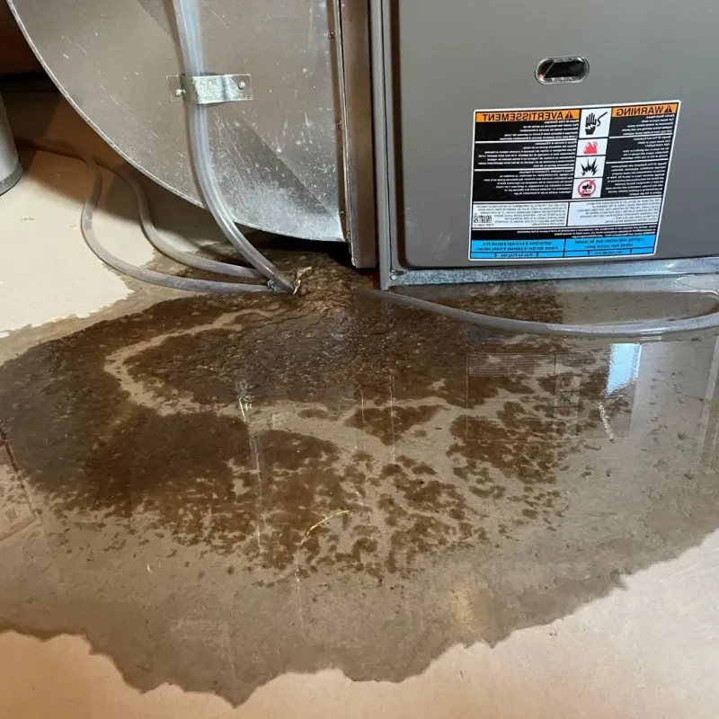 Pipe Burst and Leak Restoration in Dell Rapids, SD