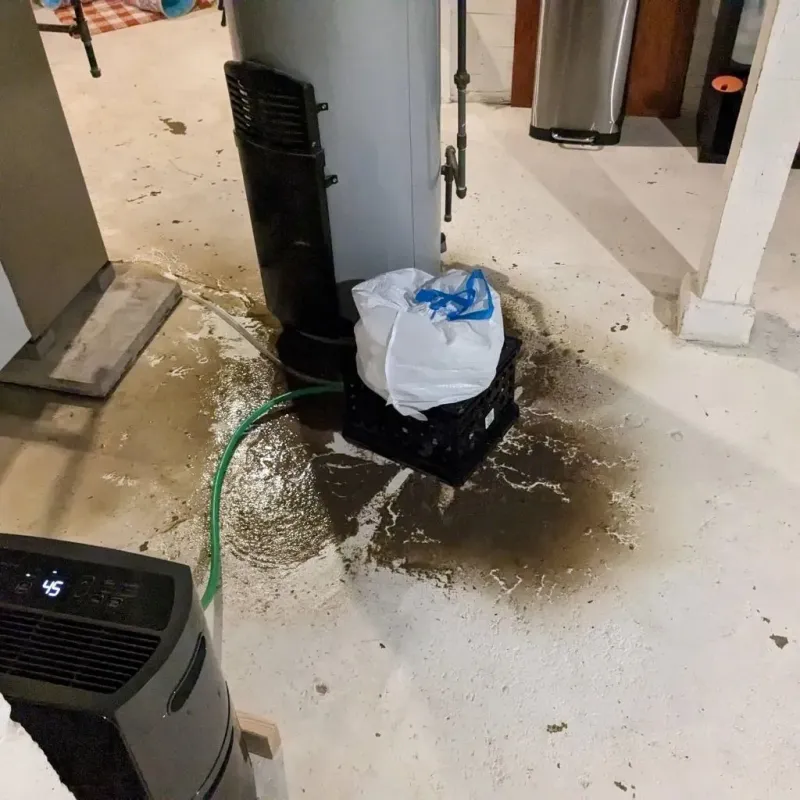 Sewage Backup Cleanup Service in Dell Rapids, SD